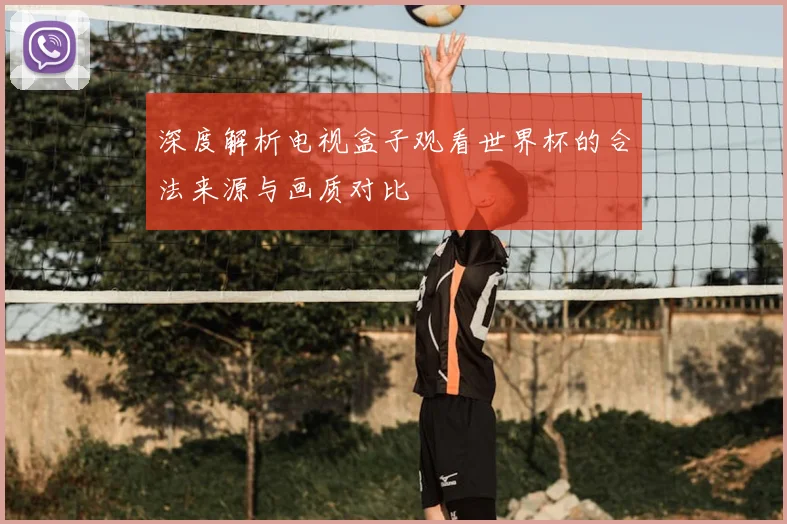 深度解析电视盒子观看世界杯的合法来源与画质对比
