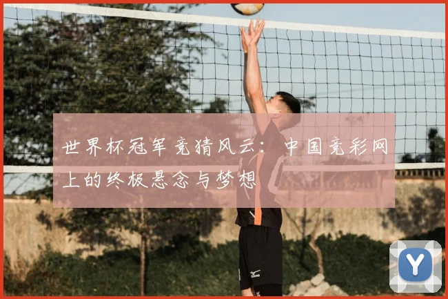 世界杯冠军竞猜风云:中国竞彩网上的终极悬念与梦想