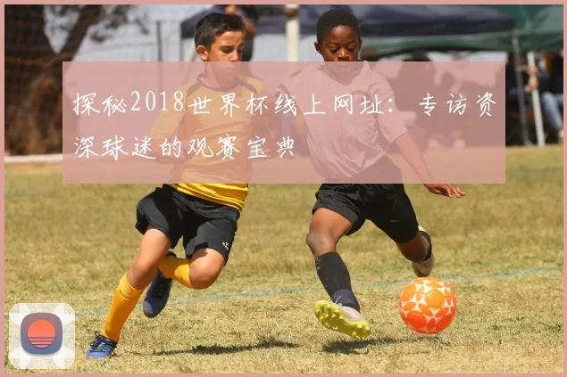 探秘2018世界杯线上网址：专访资深球迷的观赛宝典
