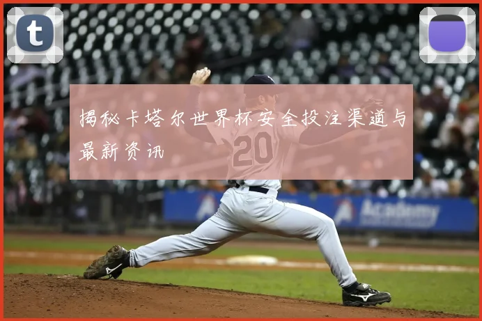 揭秘卡塔尔世界杯安全投注渠道与最新资讯