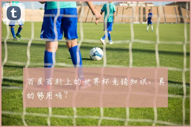 百度百科上的世界杯竞猜知识,真的够用吗?